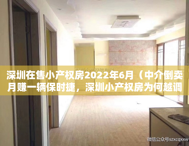 深圳在售小产权房2022年6月（中介倒卖月赚一辆保时捷，深圳小产权房为何越调控越火爆？）