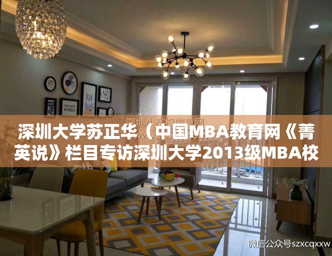 深圳大学苏正华（中国MBA教育网《菁英说》栏目专访深圳大学2013级MBA校友苏振保）