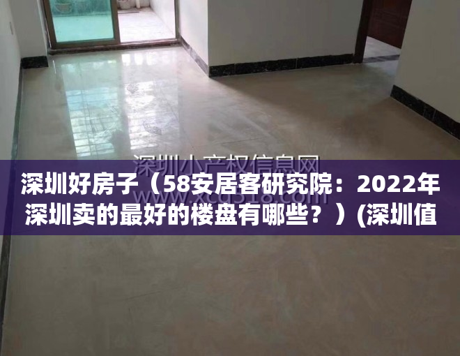 深圳好房子（58安居客研究院：2022年深圳卖的最好的楼盘有哪些？）(深圳值得入手的楼盘)