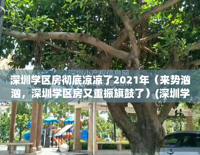 深圳学区房彻底凉凉了2021年（来势汹汹，深圳学区房又重振旗鼓了）(深圳学区房即将消失)