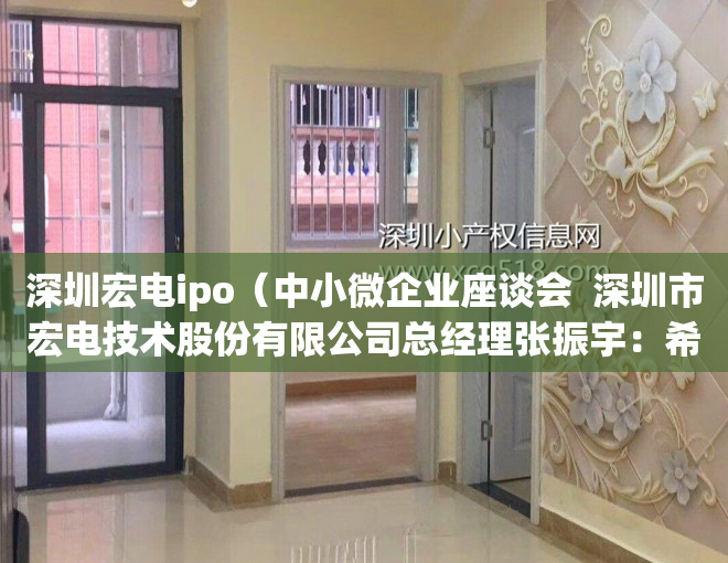 深圳宏电ipo（中小微企业座谈会  深圳市宏电技术股份有限公司总经理张振宇：希望完善平湖金融基地附近交通配套）