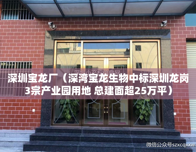 深圳宝龙厂（深湾宝龙生物中标深圳龙岗3宗产业园用地 总建面超25万平）