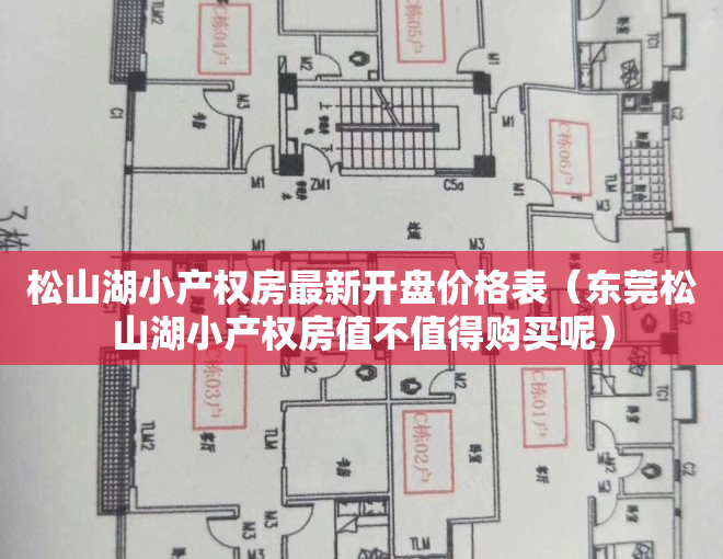 松山湖小产权房最新开盘价格表（东莞松山湖小产权房值不值得购买呢）