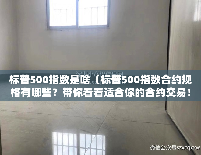 标普500指数是啥（标普500指数合约规格有哪些？带你看看适合你的合约交易！）