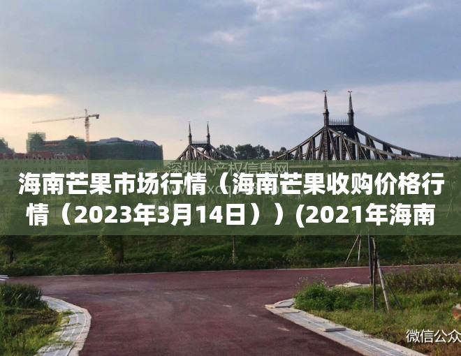 海南芒果市场行情（海南芒果收购价格行情（2023年3月14日））(2021年海南芒果批发今日价格)