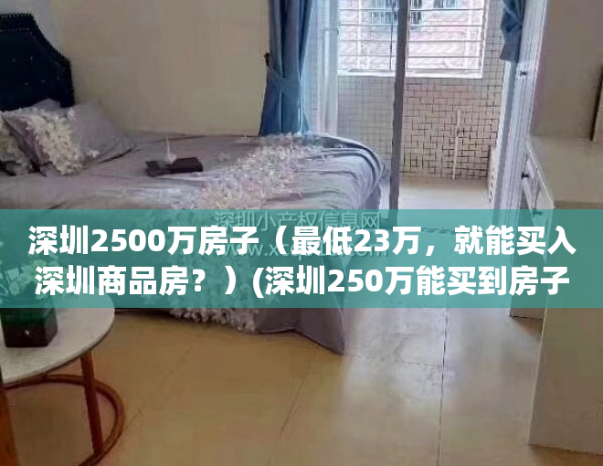 深圳2500万房子（最低23万，就能买入深圳商品房？）(深圳250万能买到房子吗)