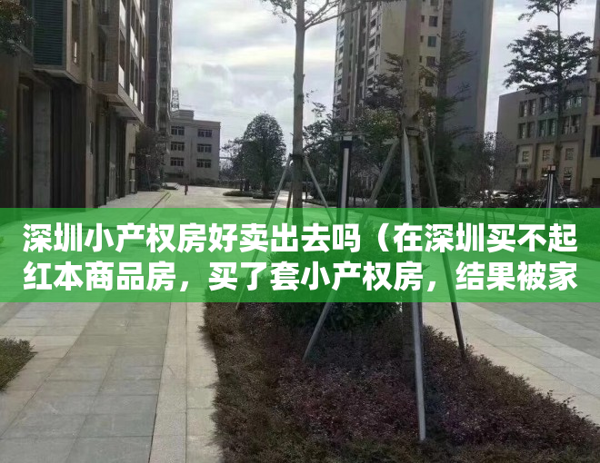 深圳小产权房好卖出去吗（在深圳买不起红本商品房，买了套小产权房，结果被家里人一直说不安全，我只是买来自己住，又有什么关系呢？）