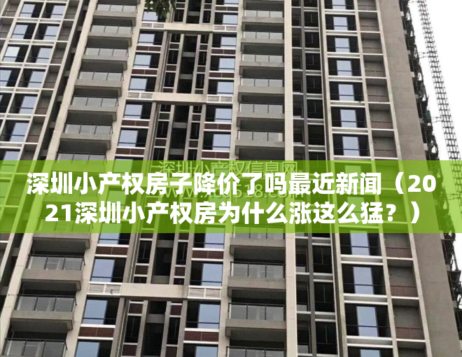 深圳小产权房子降价了吗最近新闻（2021深圳小产权房为什么涨这么猛？）