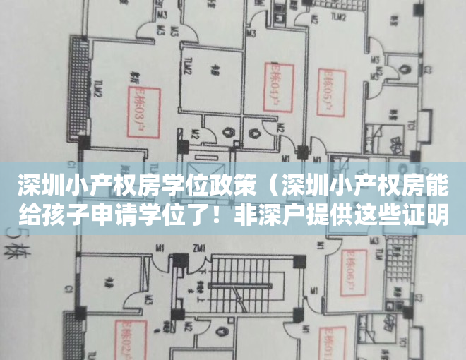 深圳小产权房学位政策（深圳小产权房能给孩子申请学位了！非深户提供这些证明即可）