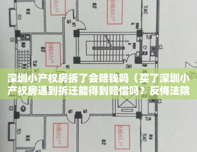 深圳小产权房拆了会赔钱吗（买了深圳小产权房遇到拆迁能得到赔偿吗？反悔法院判决给受让方）