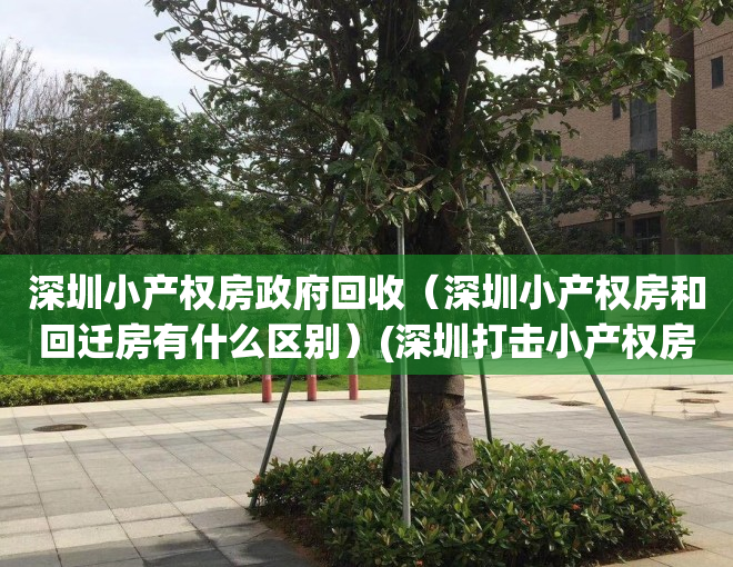 深圳小产权房政府回收（深圳小产权房和回迁房有什么区别）(深圳打击小产权房回迁房交易)