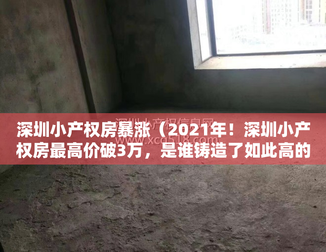 深圳小产权房暴涨（2021年！深圳小产权房最高价破3万，是谁铸造了如此高的单价？）