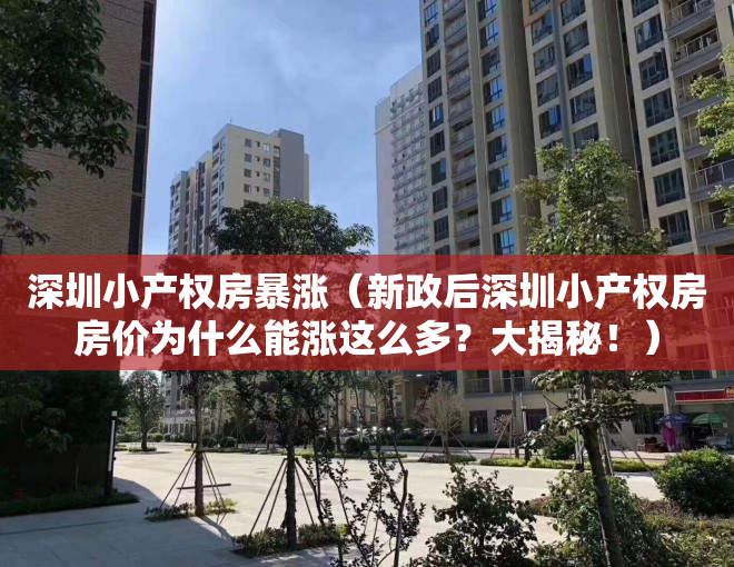 深圳小产权房暴涨（新政后深圳小产权房房价为什么能涨这么多？大揭秘！）