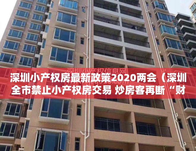 深圳小产权房最新政策2020两会（深圳全市禁止小产权房交易 炒房客再断“财路”）