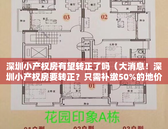 深圳小产权房有望转正了吗（大消息！深圳小产权房要转正？只需补缴50%的地价？）