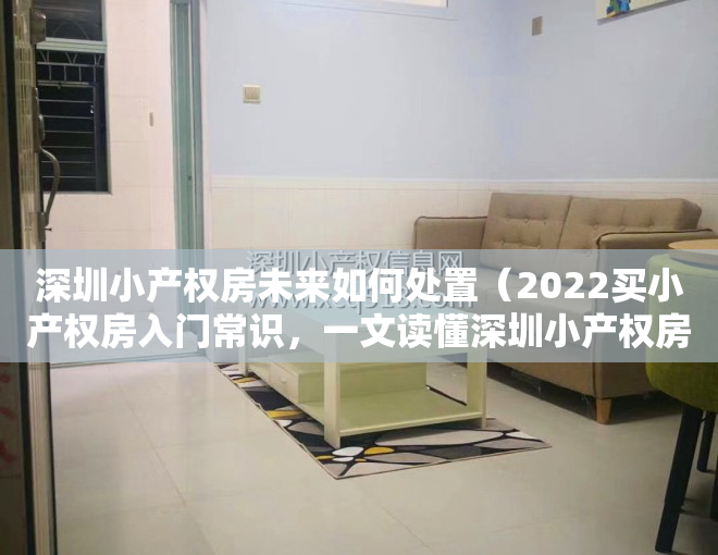 深圳小产权房未来如何处置（2022买小产权房入门常识，一文读懂深圳小产权房市场现状，避坑秘籍！）