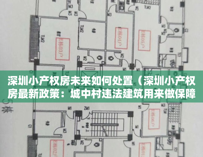 深圳小产权房未来如何处置（深圳小产权房最新政策：城中村违法建筑用来做保障房）