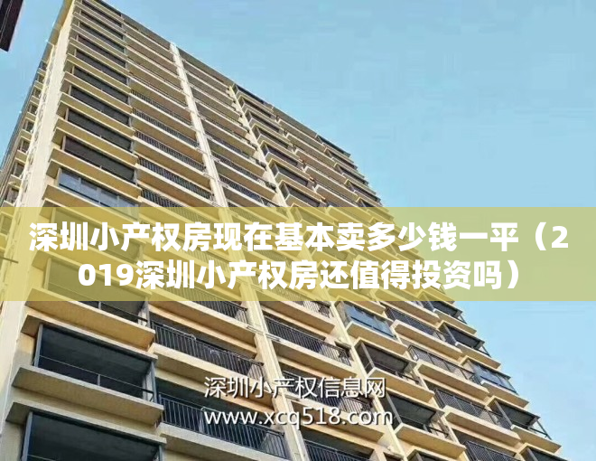 深圳小产权房现在基本卖多少钱一平（2019深圳小产权房还值得投资吗）