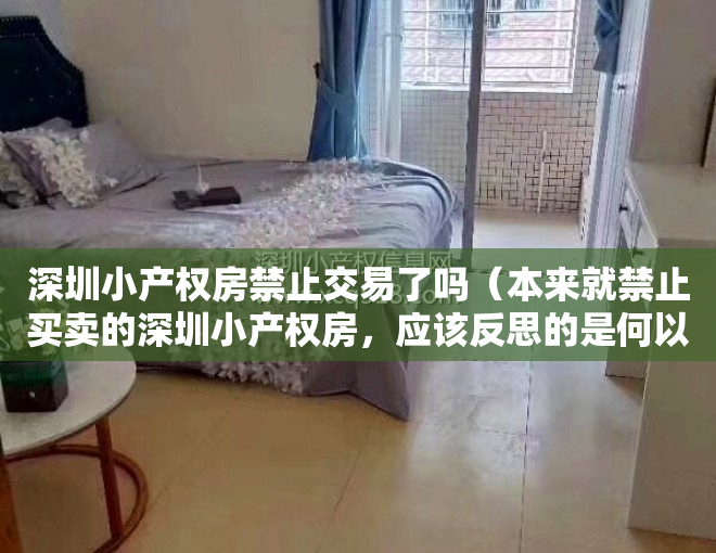 深圳小产权房禁止交易了吗（本来就禁止买卖的深圳小产权房，应该反思的是何以至此）