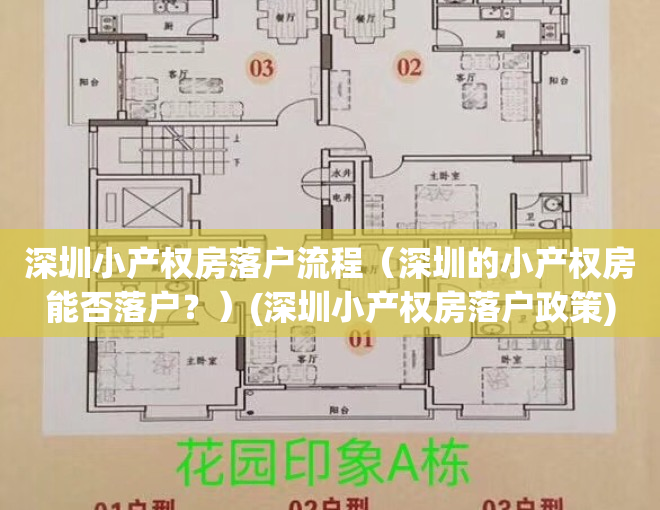 深圳小产权房落户流程（深圳的小产权房能否落户？）(深圳小产权房落户政策)