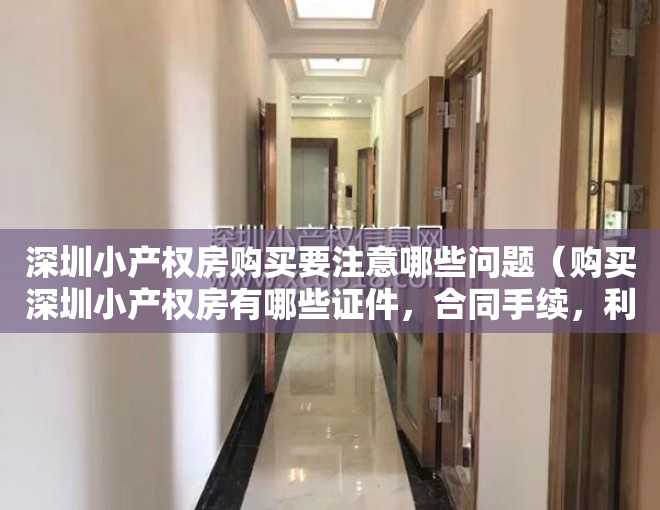 深圳小产权房购买要注意哪些问题（购买深圳小产权房有哪些证件，合同手续，利弊（建议收藏））