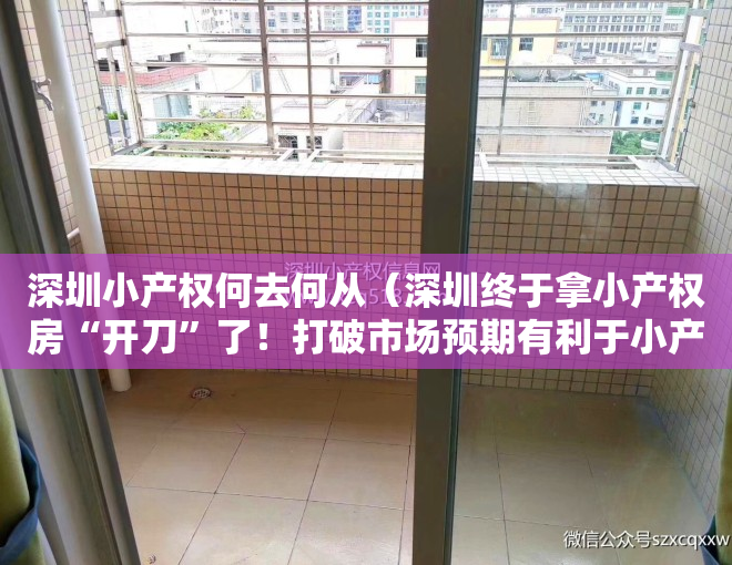 深圳小产权何去何从（深圳终于拿小产权房“开刀”了！打破市场预期有利于小产权房降温）