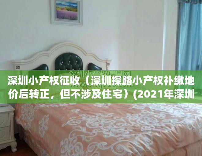 深圳小产权征收（深圳探路小产权补缴地价后转正，但不涉及住宅）(2021年深圳小产权怎么处理)