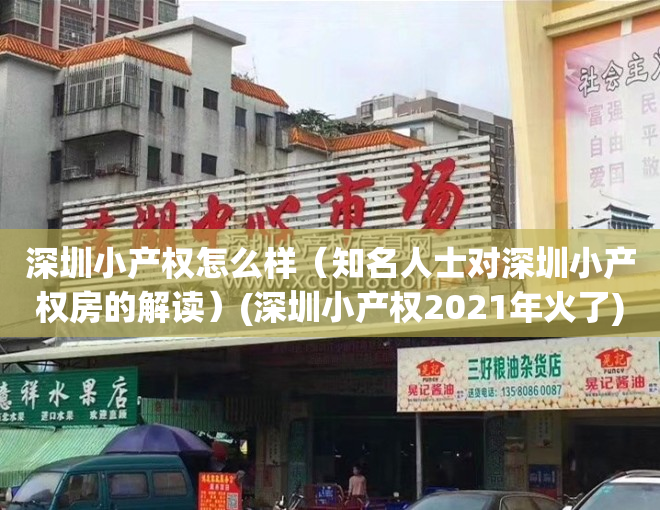 深圳小产权怎么样（知名人士对深圳小产权房的解读）(深圳小产权2021年火了)