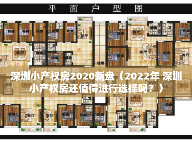 深圳小产权房2020新盘（2022年 深圳小产权房还值得进行选择吗？）