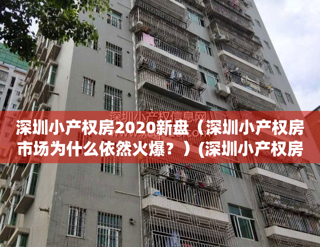 深圳小产权房2020新盘（深圳小产权房市场为什么依然火爆？）(深圳小产权房近况)