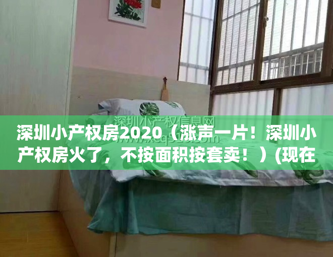 深圳小产权房2020（涨声一片！深圳小产权房火了，不按面积按套卖！）(现在深圳小产权房的价格是多少)