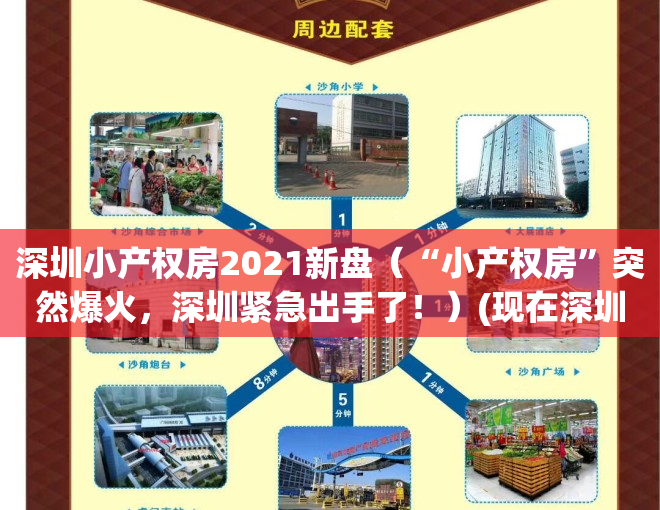 深圳小产权房2021新盘（“小产权房”突然爆火，深圳紧急出手了！）(现在深圳小产权房的价格是多少)