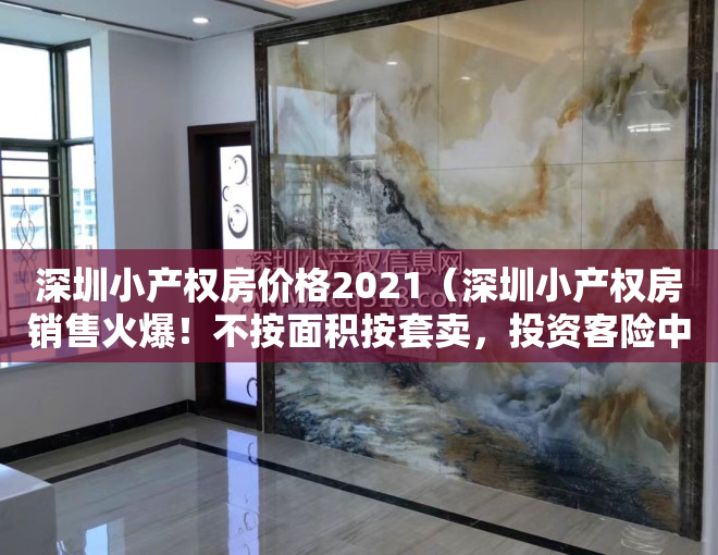 深圳小产权房价格2021（深圳小产权房销售火爆！不按面积按套卖，投资客险中求富…）