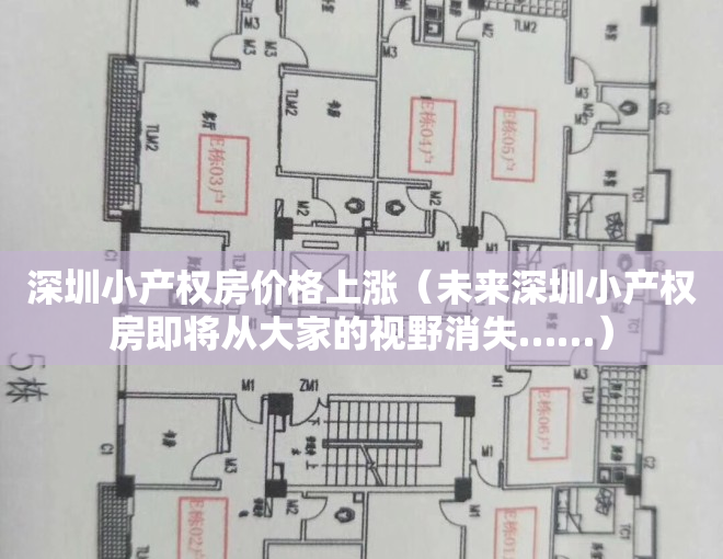 深圳小产权房价格上涨（未来深圳小产权房即将从大家的视野消失……）