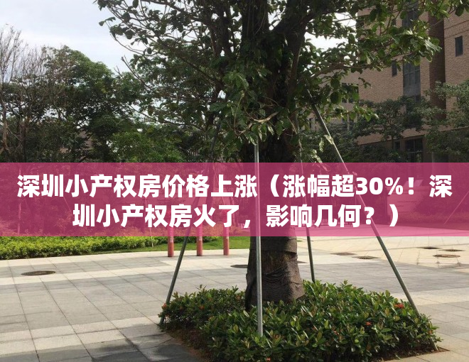 深圳小产权房价格上涨（涨幅超30%！深圳小产权房火了，影响几何？）