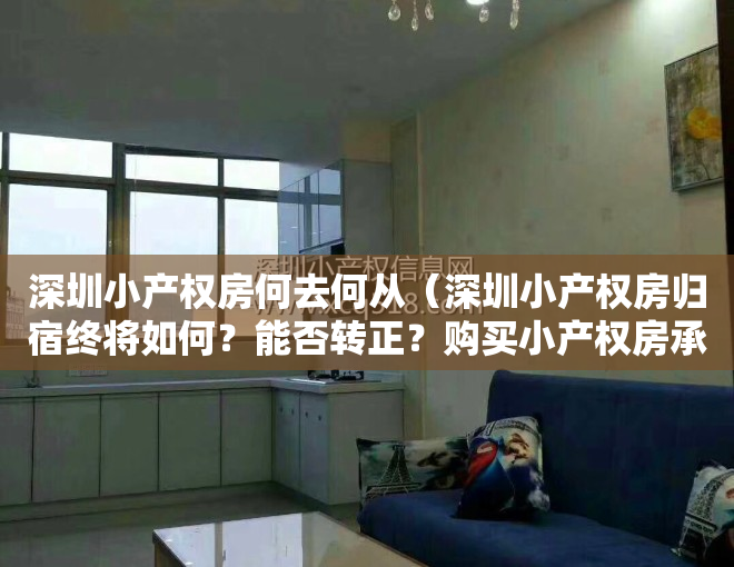 深圳小产权房何去何从（深圳小产权房归宿终将如何？能否转正？购买小产权房承担什么险？）