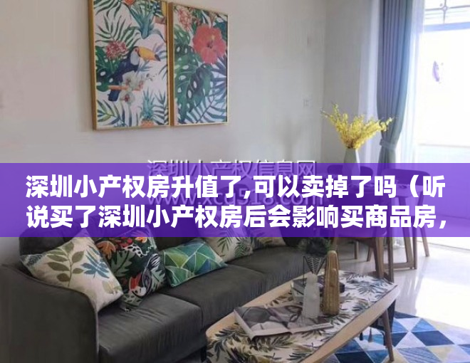 深圳小产权房升值了,可以卖掉了吗（听说买了深圳小产权房后会影响买商品房，怎么办？）