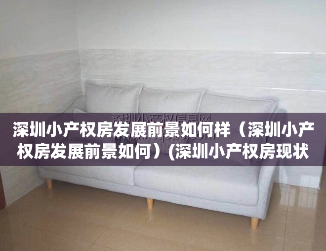 深圳小产权房发展前景如何样（深圳小产权房发展前景如何）(深圳小产权房现状)