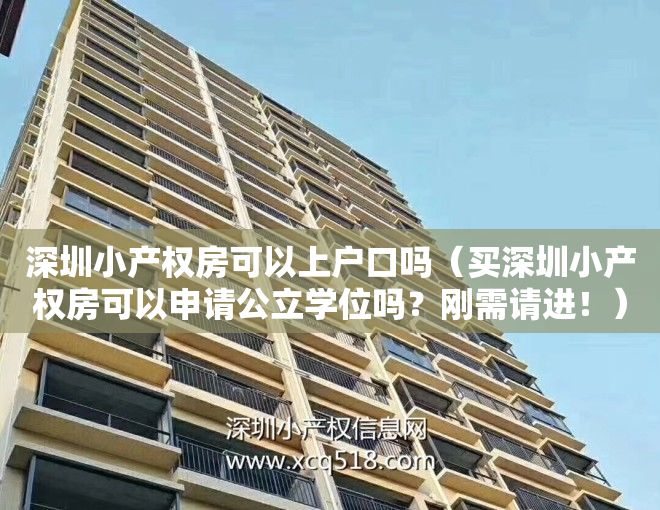 深圳小产权房可以上户口吗（买深圳小产权房可以申请公立学位吗？刚需请进！）