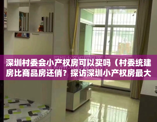 深圳村委会小产权房可以买吗（村委统建房比商品房还俏？探访深圳小产权房最大聚集地（附提醒））