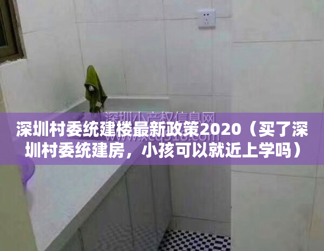 深圳村委统建楼最新政策2020（买了深圳村委统建房，小孩可以就近上学吗）