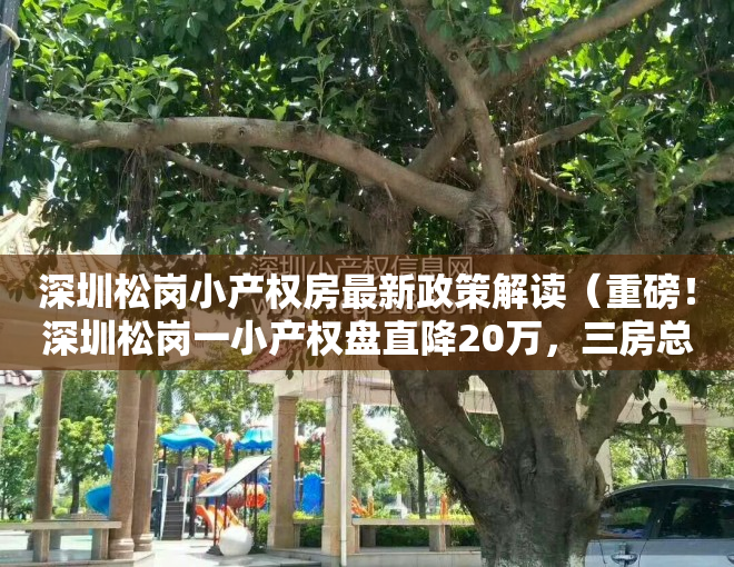 深圳松岗小产权房最新政策解读（重磅！深圳松岗一小产权盘直降20万，三房总价仅61万，）