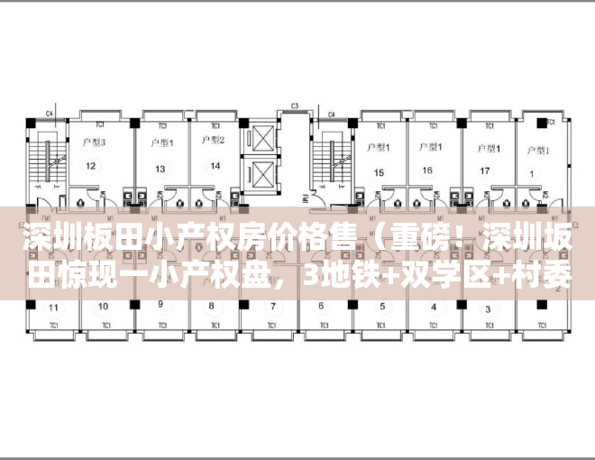 深圳板田小产权房价格售（重磅！深圳坂田惊现一小产权盘，3地铁+双学区+村委盖章，价格仅348万一套起。）