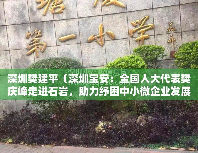 深圳樊建平（深圳宝安：全国人大代表樊庆峰走进石岩，助力纾困中小微企业发展）