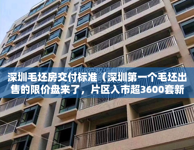 深圳毛坯房交付标准（深圳第一个毛坯出售的限价盘来了，片区入市超3600套新房）