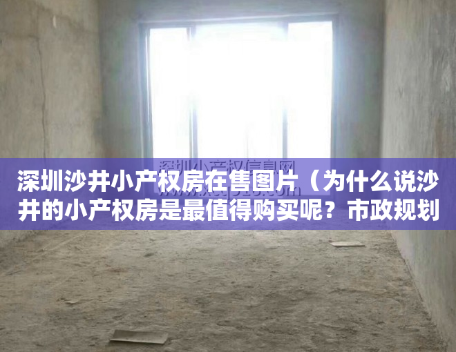 深圳沙井小产权房在售图片（为什么说沙井的小产权房是最值得购买呢？市政规划用行动给你答案）