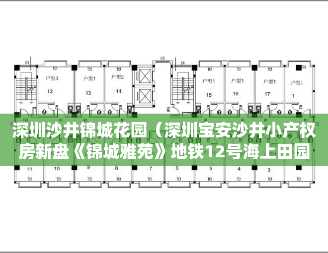 深圳沙井锦城花园（深圳宝安沙井小产权房新盘《锦城雅苑》地铁12号海上田园站地铁口 单间总价187万起 精装二房496万 集资村委统建楼旧改民房）