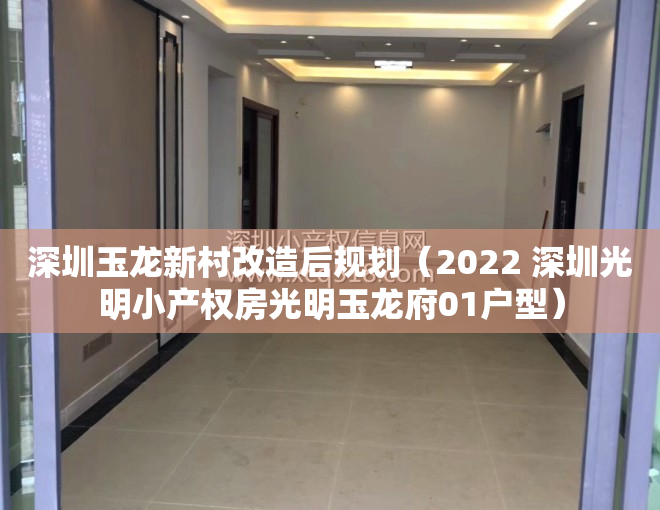 深圳玉龙新村改造后规划（2022 深圳光明小产权房光明玉龙府01户型）