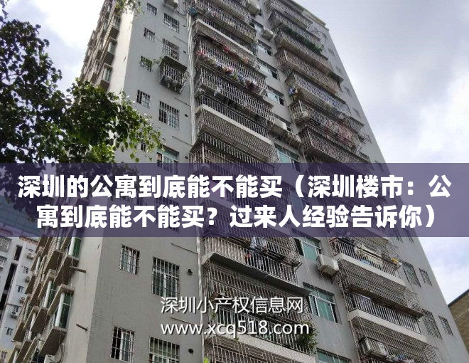 深圳的公寓到底能不能买（深圳楼市：公寓到底能不能买？过来人经验告诉你）