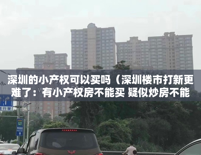 深圳的小产权可以买吗（深圳楼市打新更难了：有小产权房不能买 疑似炒房不能买）